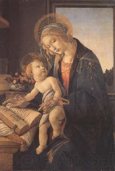 Sandro Botticelli Madonna and child or Madonna of the book Norge oil painting art